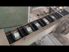 WZTS-120 vertical food cartoning machine