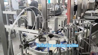 Vertical loading rotary cartoning machine